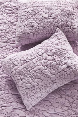 Dahlia Cotton Jersey Floral Shams, Set of 2