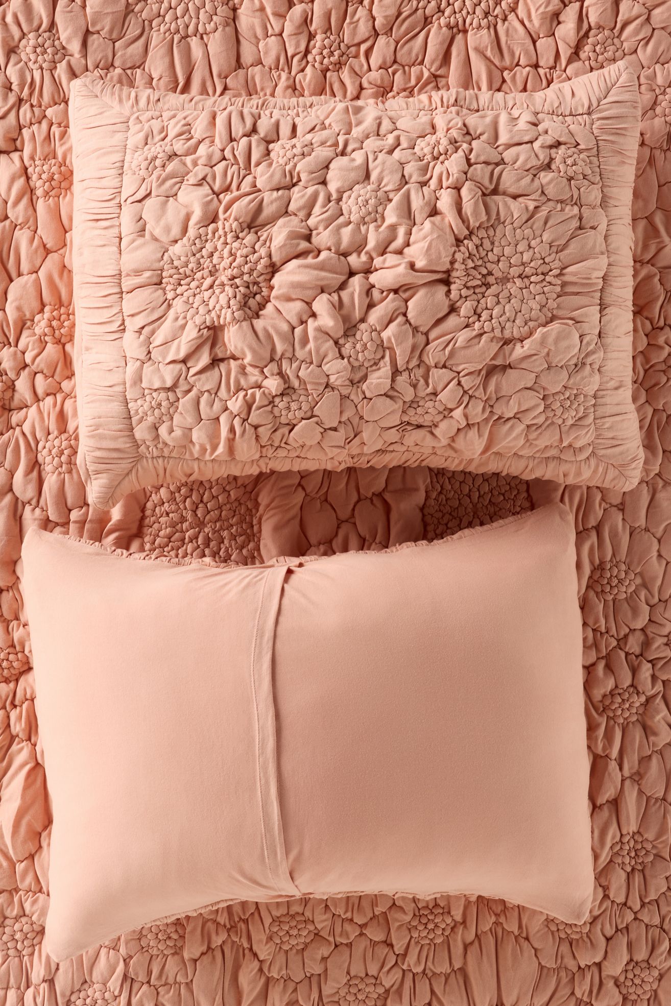 Dahlia Cotton Jersey Floral Shams, Set of 2 - Pink Sand, Standard Sham, Set of 2