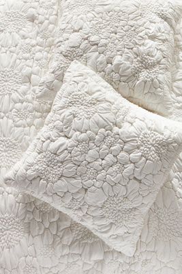 Anthropologie Constance Cloud Jersey Euro Sham