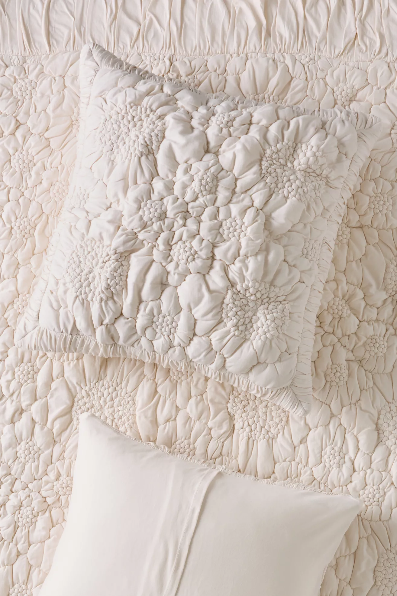Dahlia Cotton Jersey Floral Euro Sham