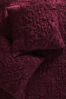 Dahlia Cotton Jersey Floral Euro Sham