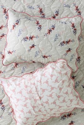 Iluka 100% Cotton Gauze Shams, Set of 2
