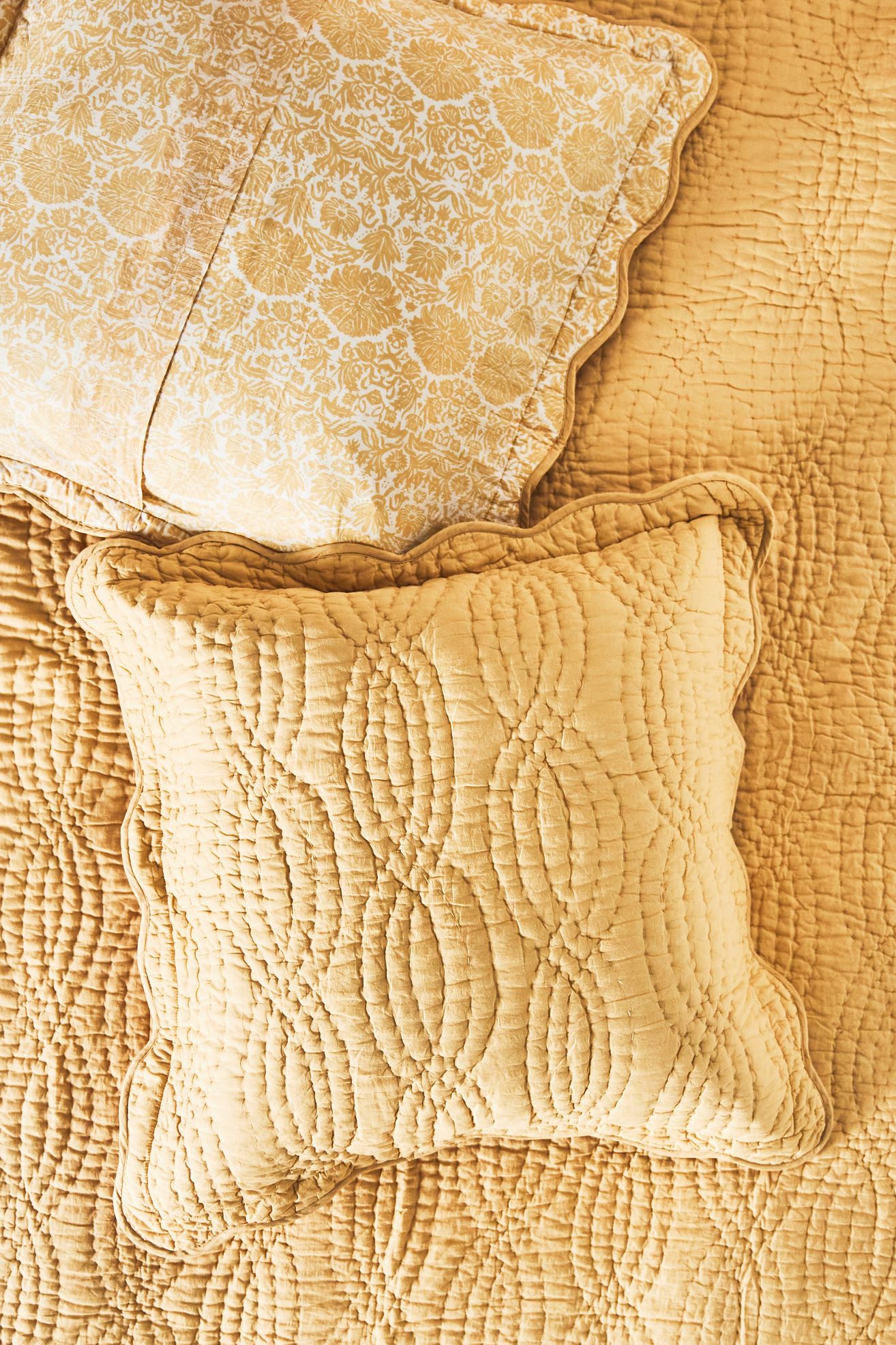 Iluka Euro Sham - Ochre, Standard, Euro Sham