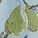 GREEN MOTIF