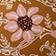 ORANGE MOTIF