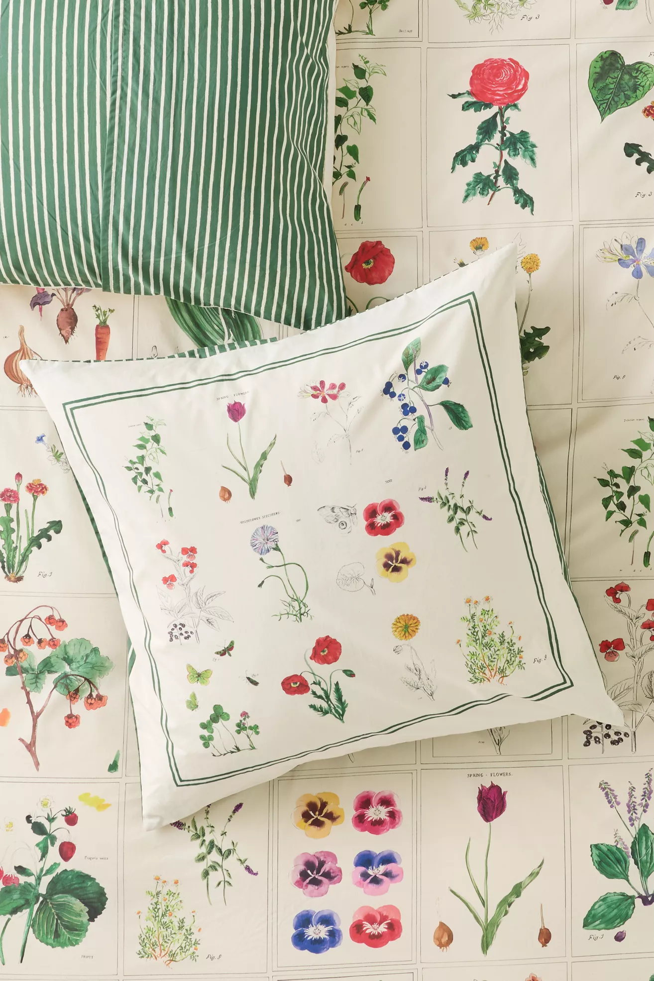 Organic Cotton Printed Percale Euro Sham