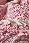 Maeve Cotton Striped Ruffle Printed Duvet Cover