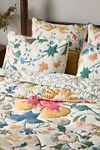 The Printed Cotton Voile Quilt Collection