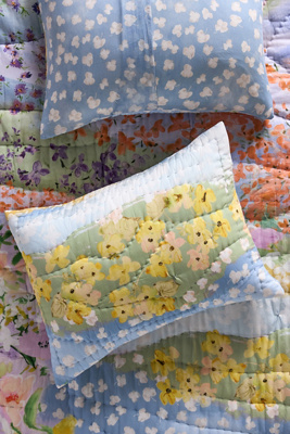 Anthropologie Gemma Cotton Voile Floral-printed Shams, Set Of 2 In Blue