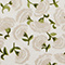 Laura Floral