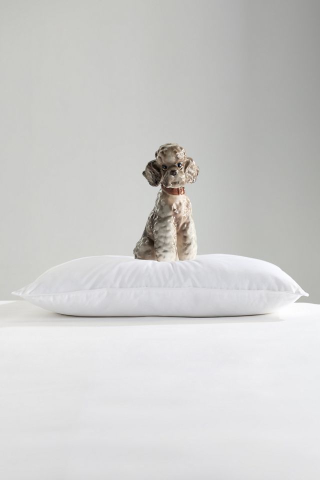 100% Cotton Sateen Down Alternative Pillow Insert #3