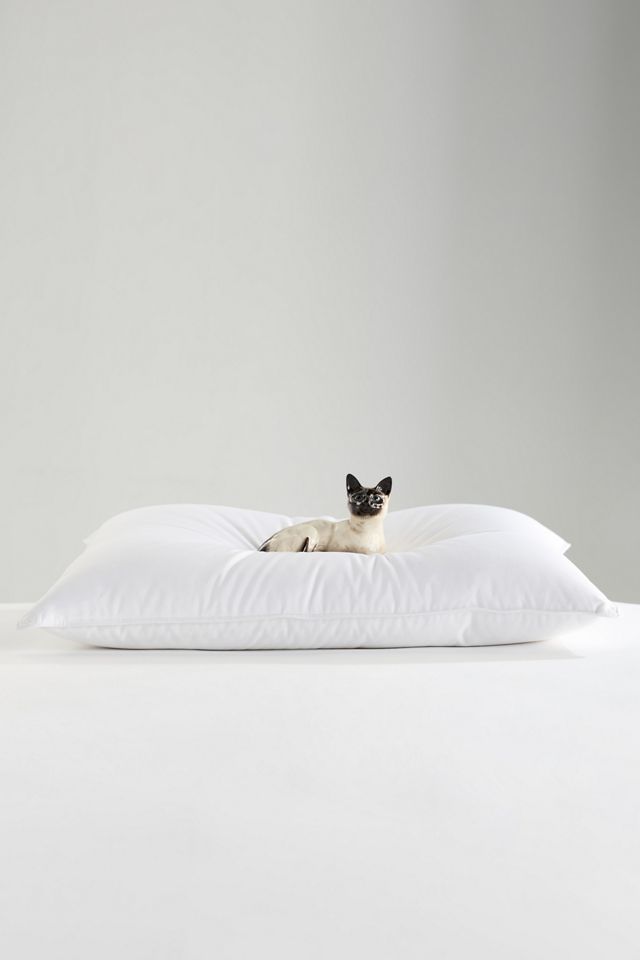 Sateen Down Pillow Insert #2