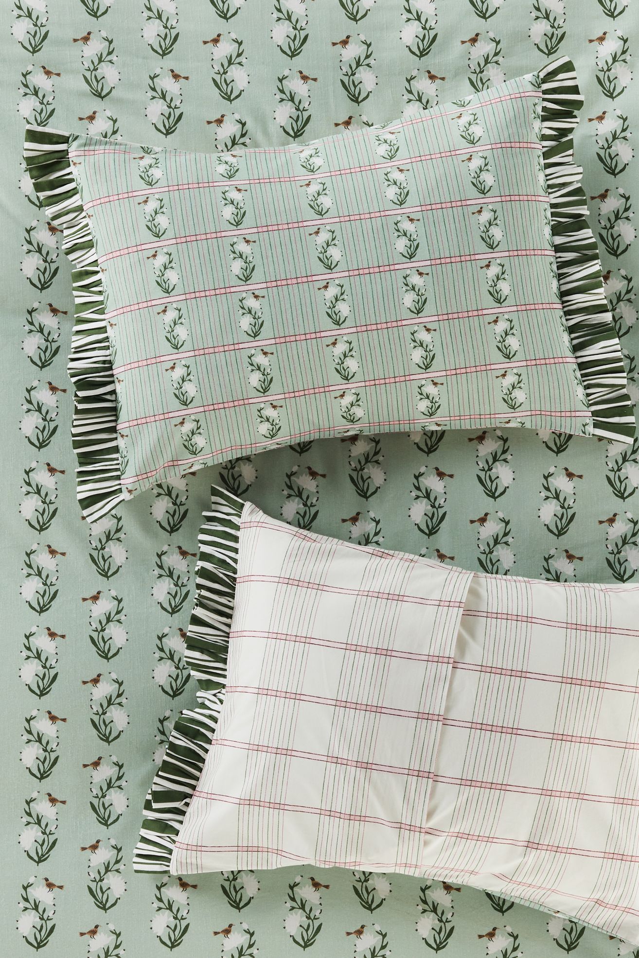 Zelda Cotton Floral Stripe Ruffle Printed Shams, Set of 2 - Green Stripe, Standard Sham, Set of 2