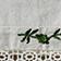 White W/ Green