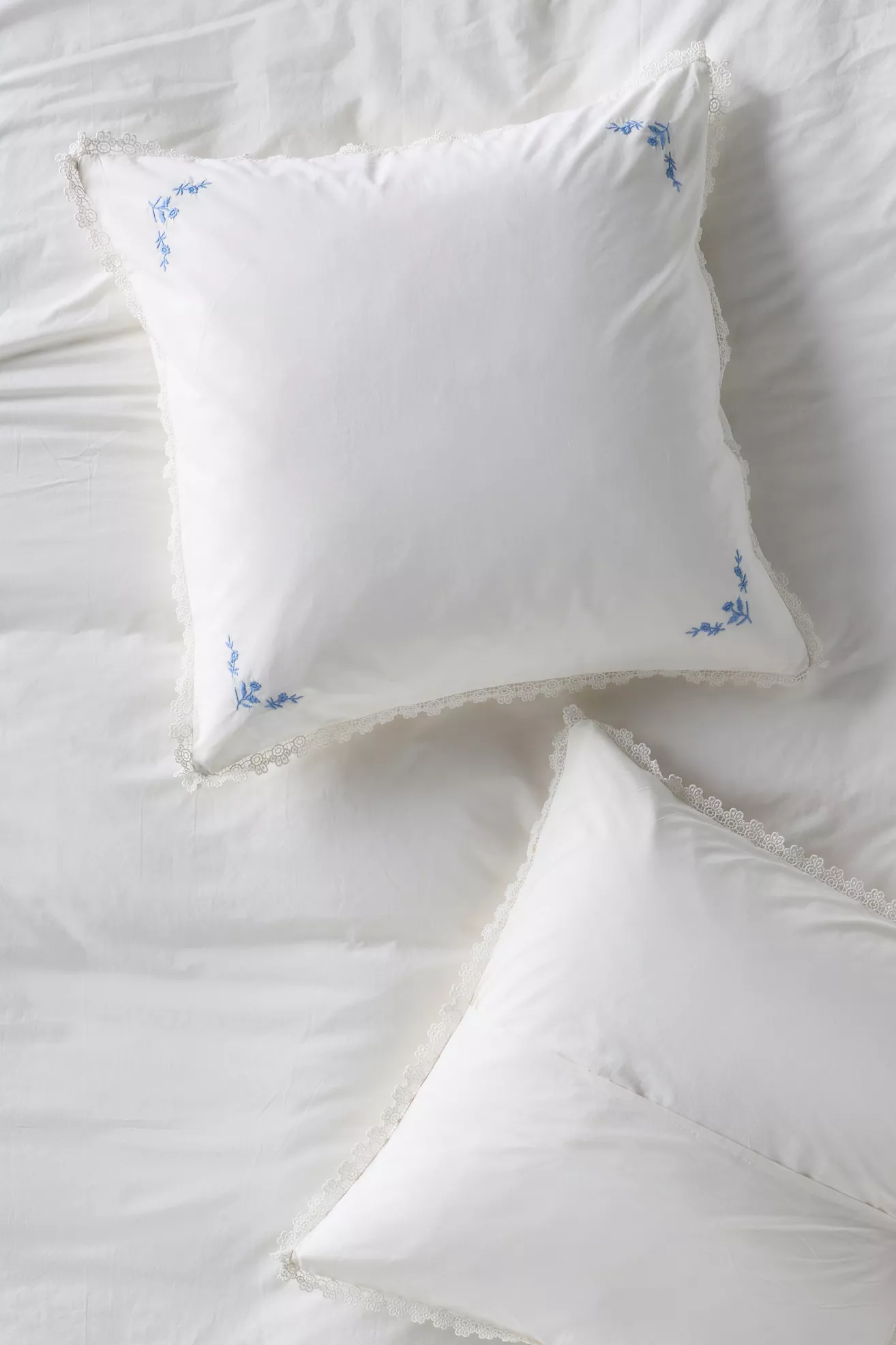 Leslie Cotton Percale Floral Embroidered Euro Sham