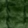 Moss
