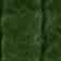 Moss