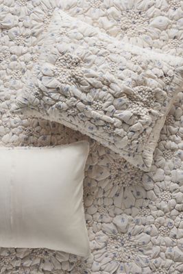 Dahlia Cotton Voile Floral Printed Textured Shams, Set of 2