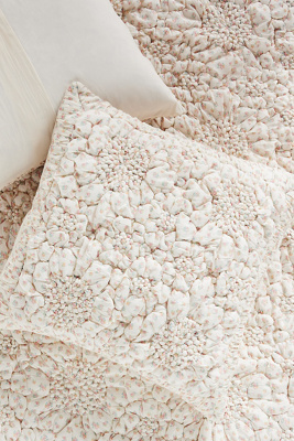 Anthropologie Dahlia Cotton Voile Floral Printed Textured Euro Sham In Neutral