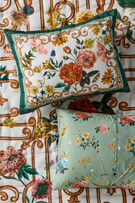 Maeve Cotton Novelty Printed Shams, Set of 2