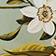 Magnolia Floral