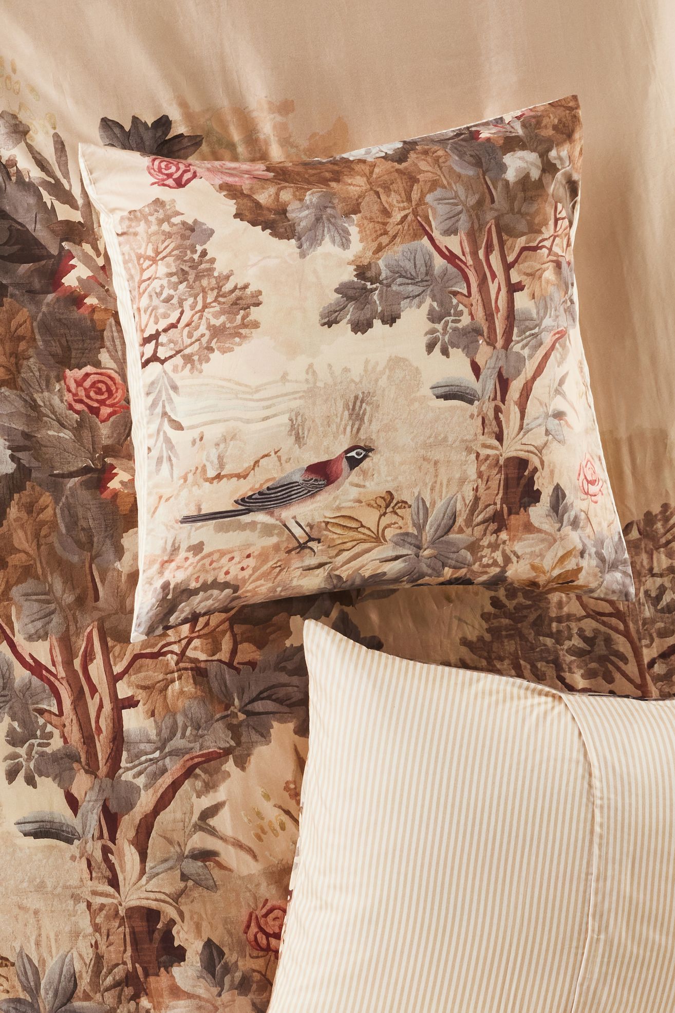 The Organic Cotton Printed Sateen Euro Sham by Maeve - Francois, Standard, Euro Sham