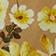 Patchwork Floral