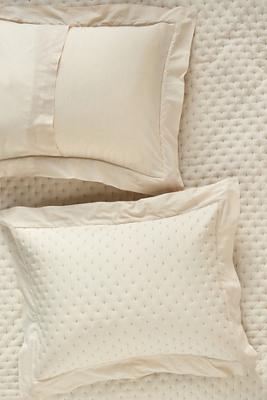 Anthropologie Zina Cotton Embroidered Woven Shams, Set Of 2