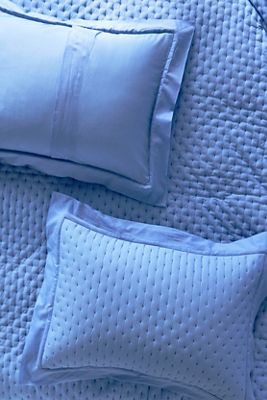 Zina Cotton Embroidered Woven Shams, Set of 2