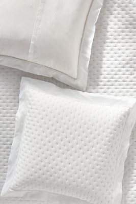Anthropologie Zina Cotton Embroidered Woven Euro Sham