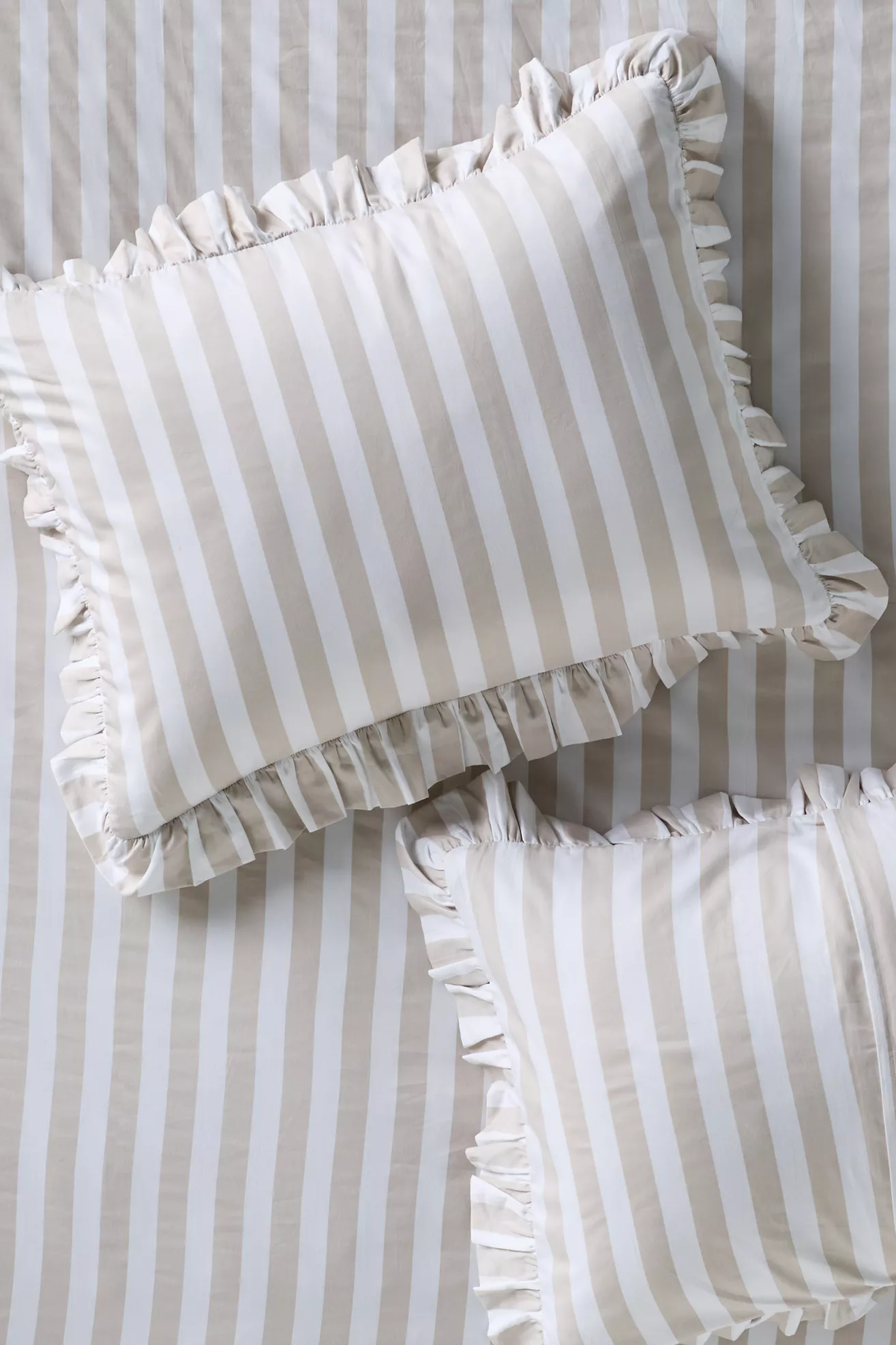 Maeve Cotton Striped Ruffle Printed Shams, Set of 2