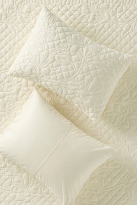 Peyton Cotton Embroidered Shams, Set of 2