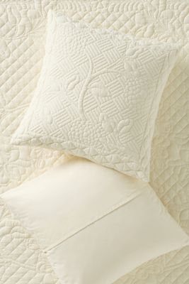 Peyton Cotton Embroidered Euro Sham