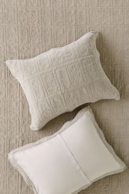 Botanical Cotton Velvet Floral Embroidered Shams, Set of 2
