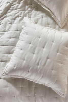 Relaxed Cotton-Linen Euro Sham