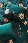 Henrik Organic Cotton Sateen Shams, Set of 2