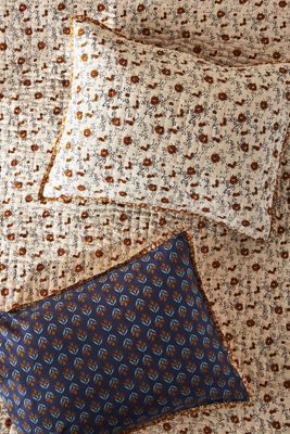 Amber Lewis for Anthropologie Rosebury Shams, Set of 2