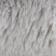 Dove Grey