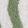 Green Stripe