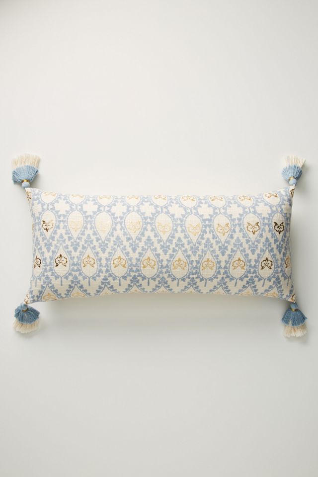 Tasseled Leticia Pillow #2