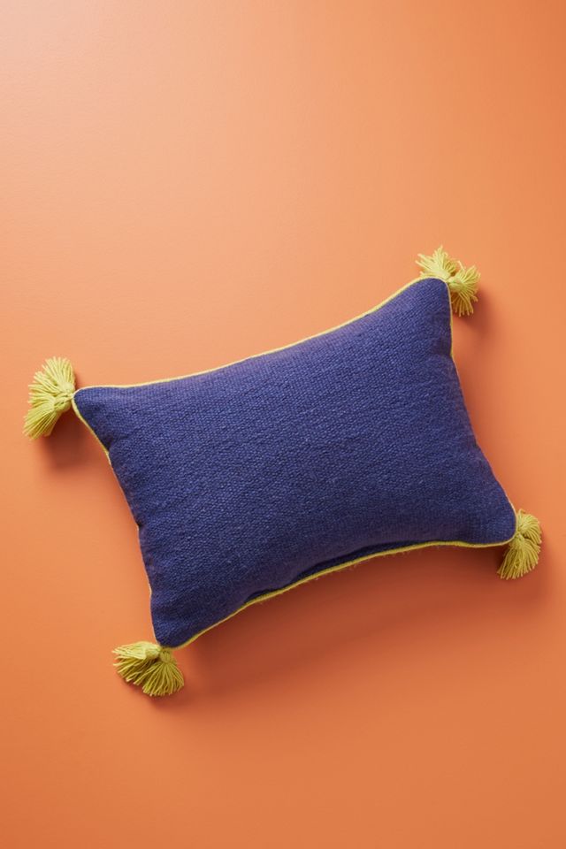 Annaliese Indoor/Outdoor Pillow #1
