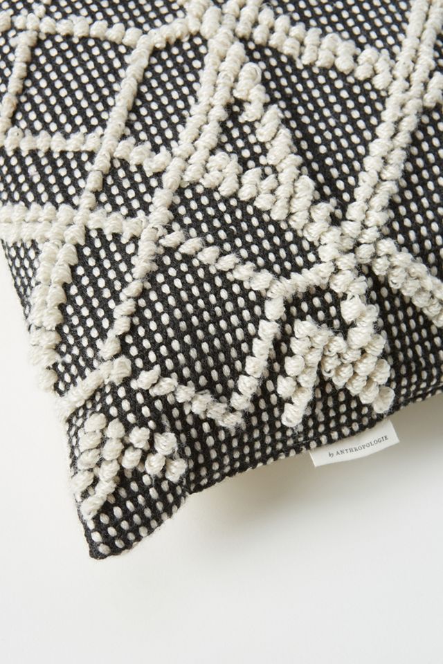 Bianca Indoor/Outdoor Pillow #2