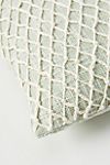 Netted Pillow #2