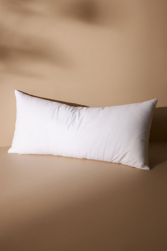 Decorative Pillow Insert #4