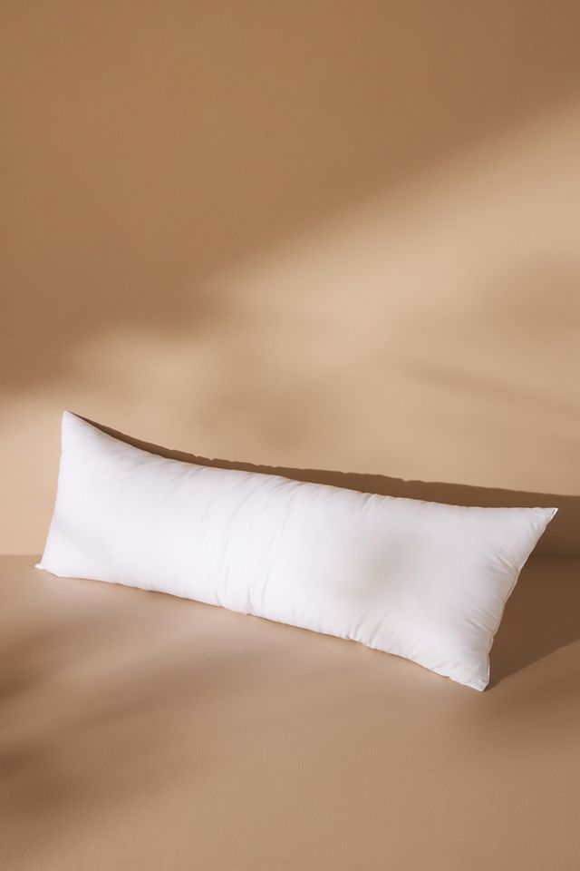 Decorative Pillow Insert #5