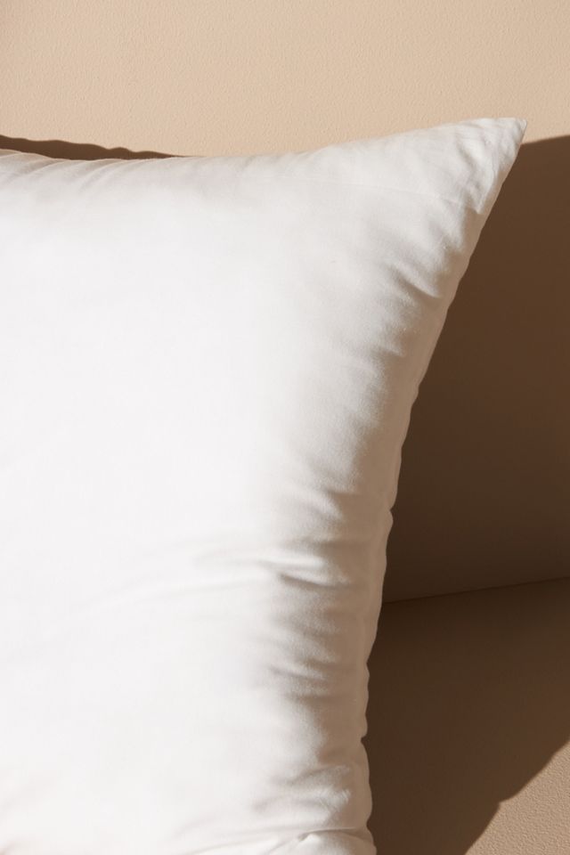 Decorative Pillow Insert #2