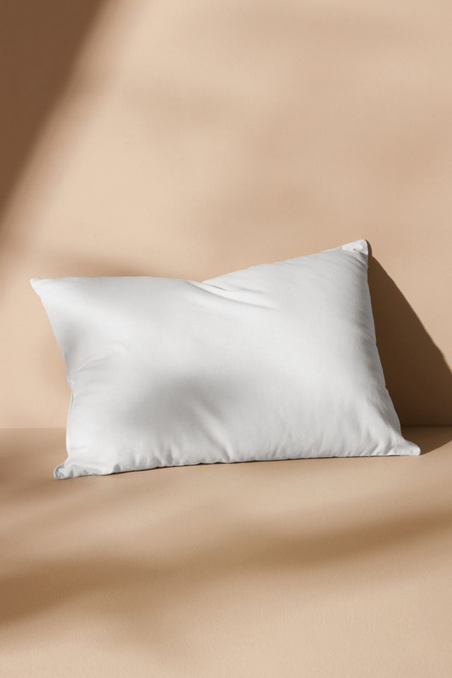 Decorative Pillow Insert #3