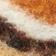 OCHRE