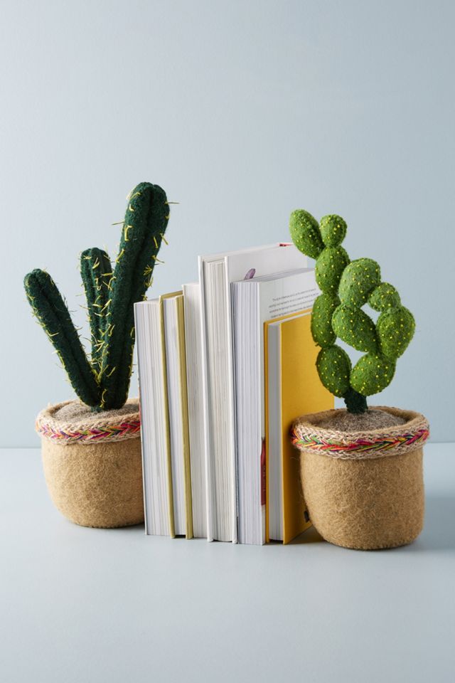 Succulent Bookend #2