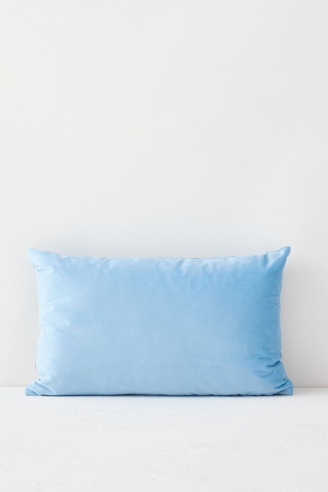 The Pillow Drop Coussin Les Introvertis Vivent Ici #2